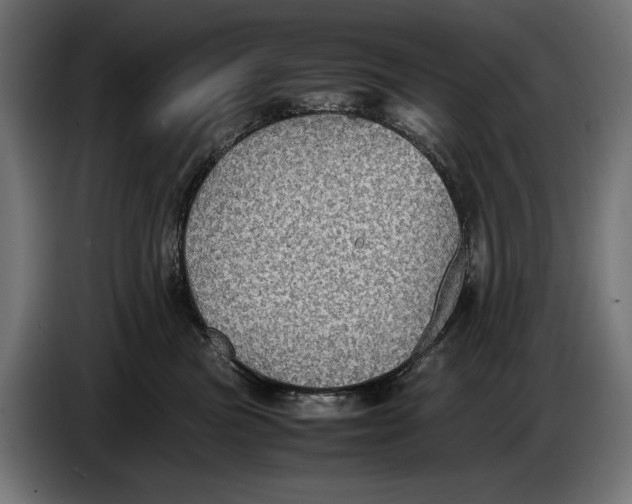 X0000086760473200705041452