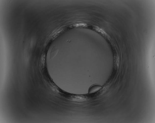 X0000086760475200705041452