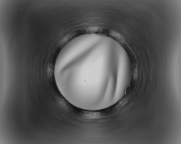 X0000086760476200705041452