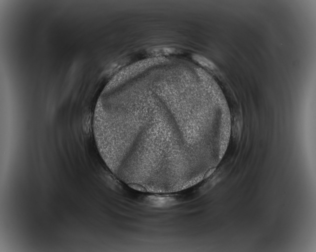 X0000086760477200705041452