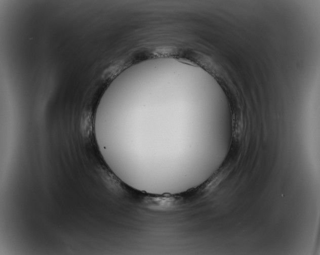 X0000086760478200705041452