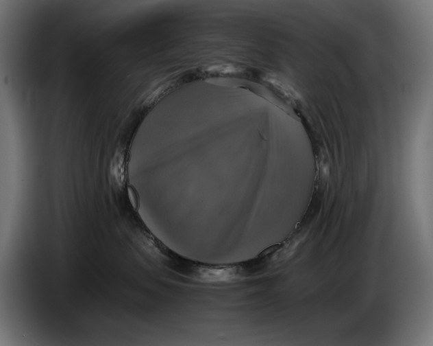 X0000086760479200705041452