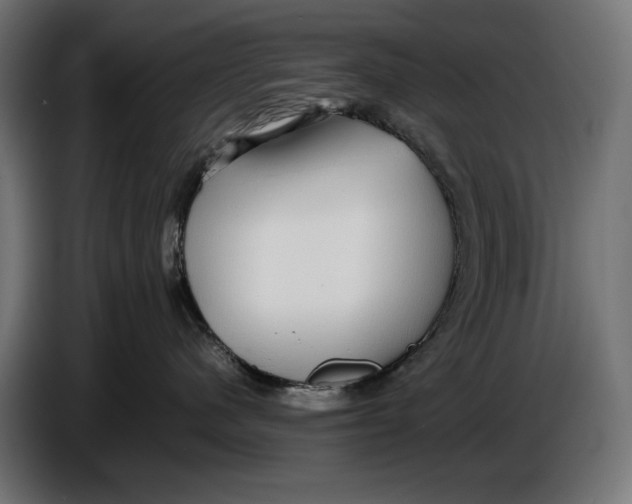 X0000086760480200705041452