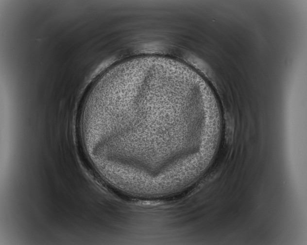 X0000086760482200705041451