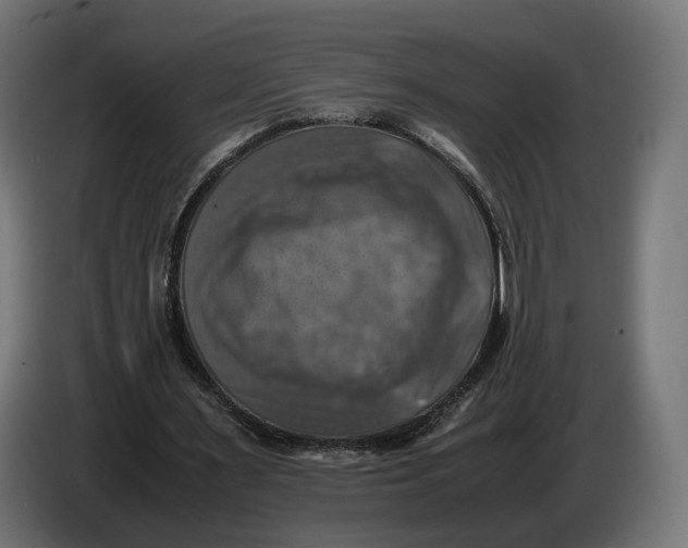 X0000086760483200705041451