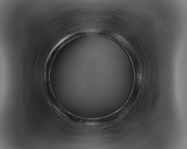 X0000086760484200705041451