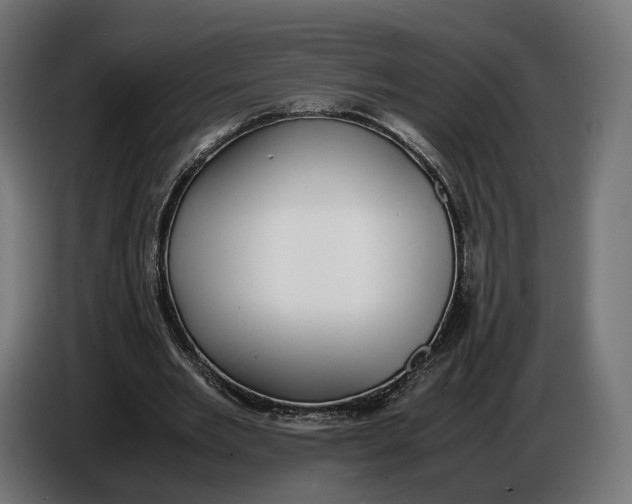 X0000086760485200705041451