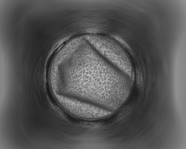 X0000086760486200705041451