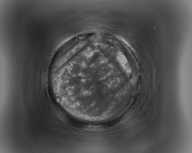 X0000086760487200705041451