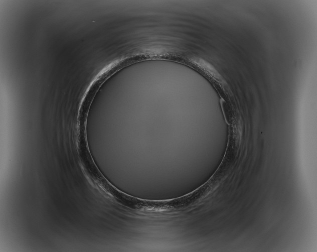 X0000086760488200705041451