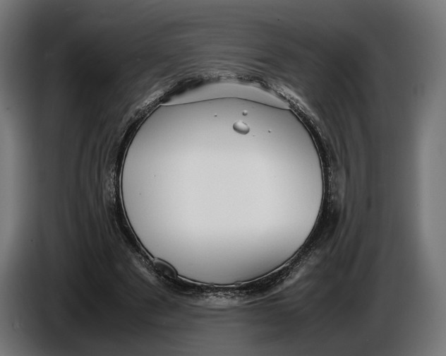 X0000086760489200705041451