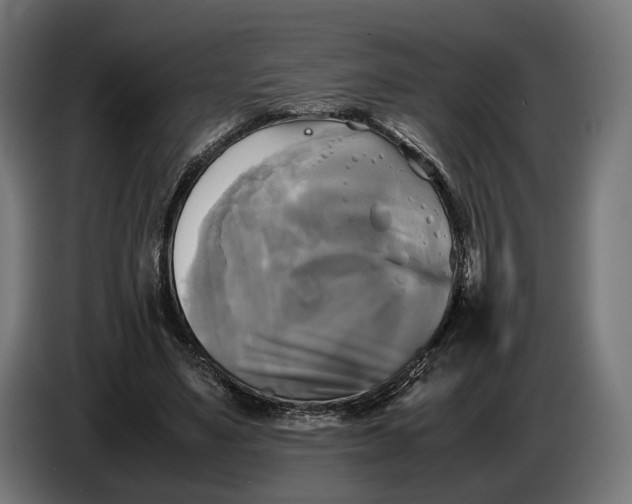 X0000086760491200705041451