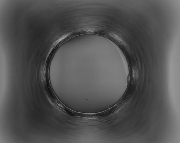 X0000086760492200705041451