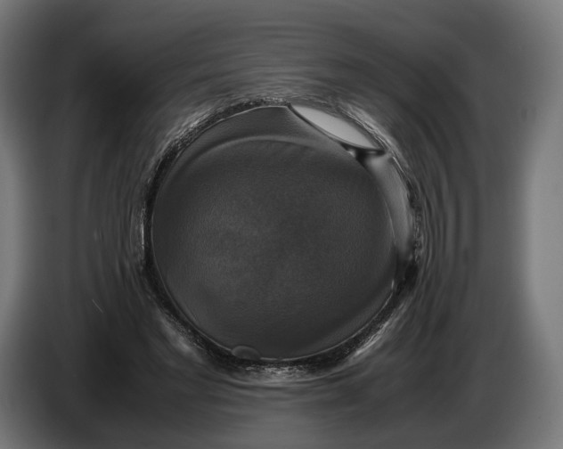 X0000086760493200705041451