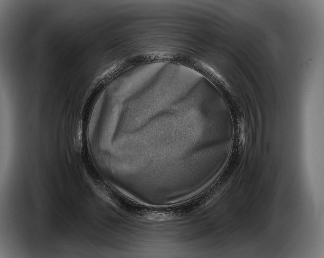 X0000086760494200705041451