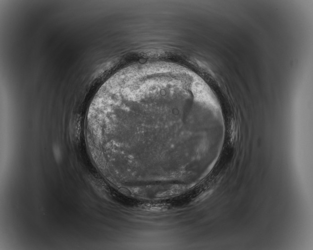 X0000086760495200705041451