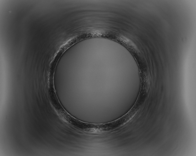 X0000086760496200705041451