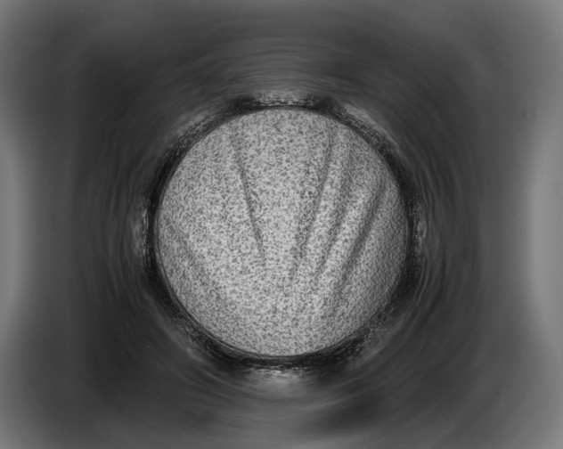 X0000086760498200705041451