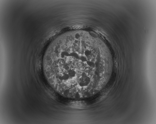 X0000086760499200705041451