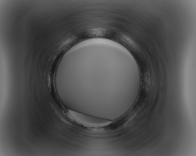 X0000086760500200705041451