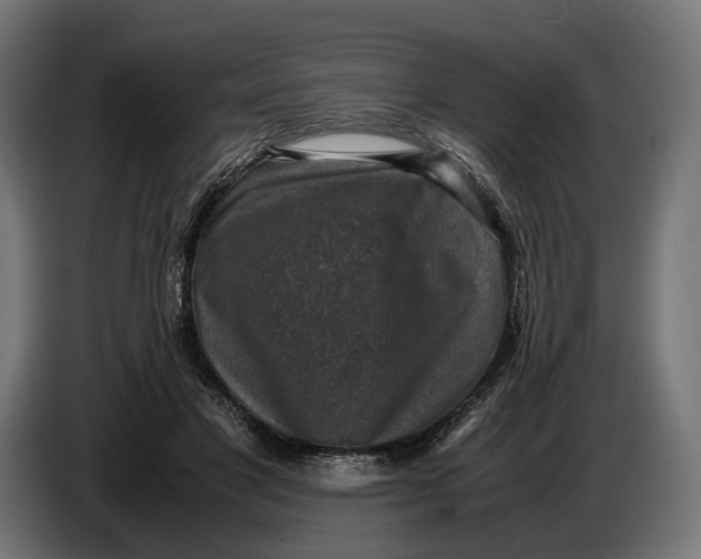 X0000086760501200705041451