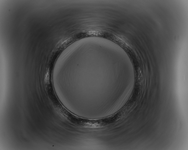 X0000086760502200705041451