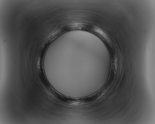 X0000086760504200705041451