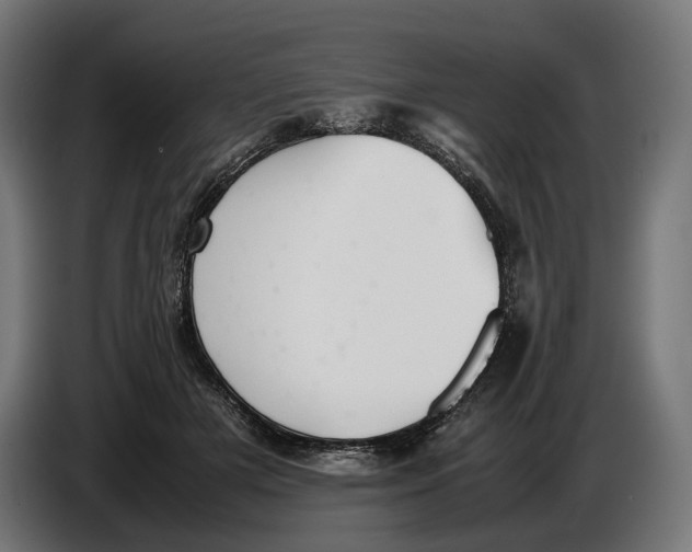 X0000086760505200705041451