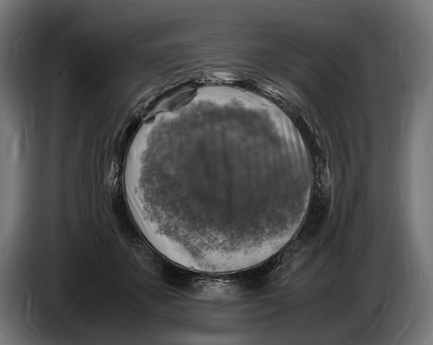 X0000086760507200705041451