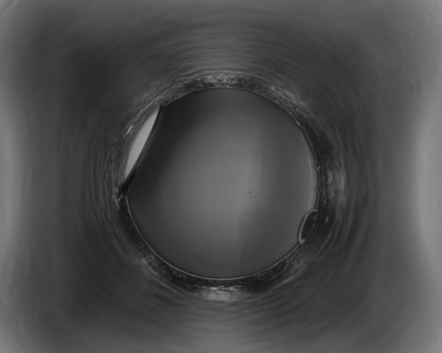 X0000086760508200705041451