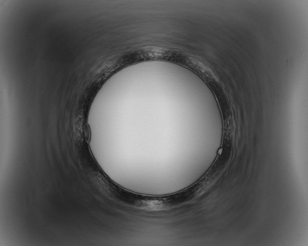 X0000086760509200705041451