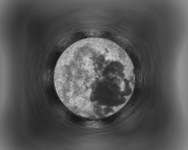 X0000086760511200705041451