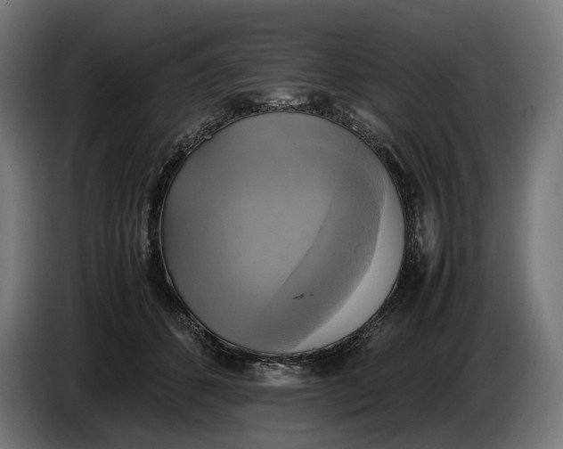 X0000086760512200705041451