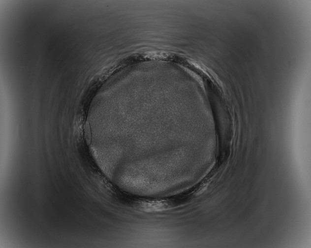 X0000086760513200705041451