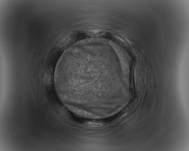 X0000086760515200705041451