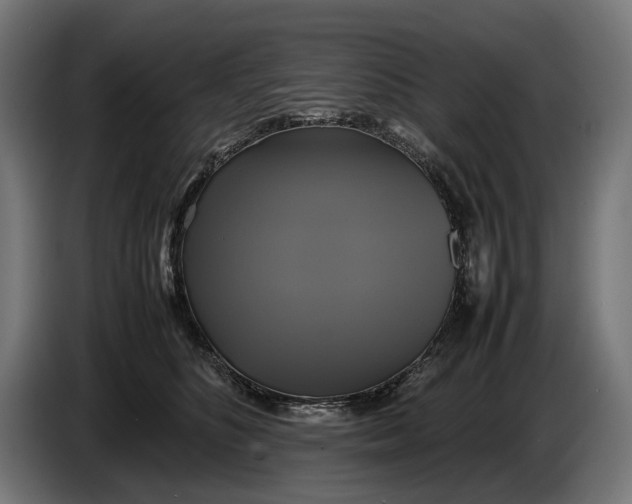 X0000086760516200705041451