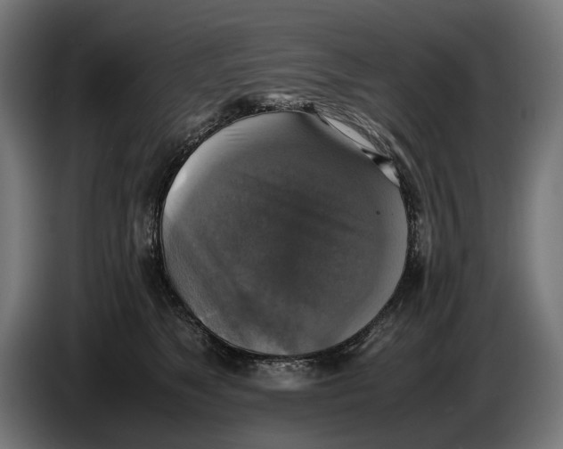 X0000086760517200705041451