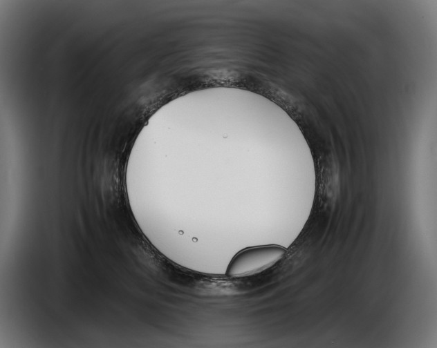 X0000086760518200705041450