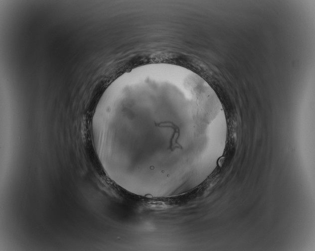 X0000086760519200705041450