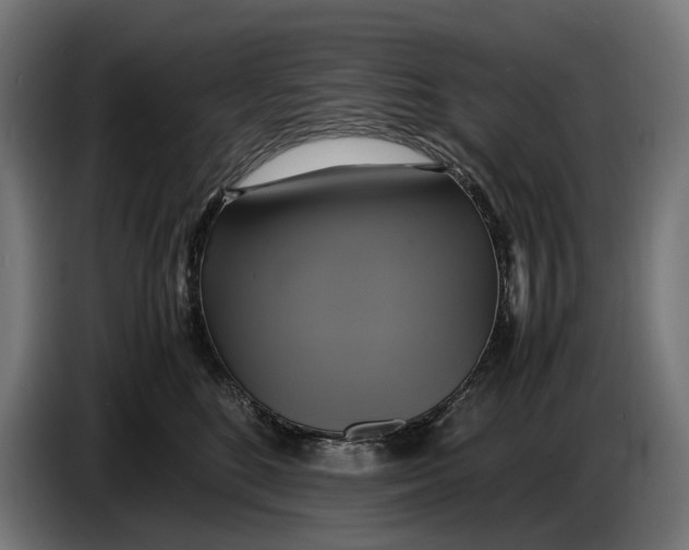 X0000086760520200705041450