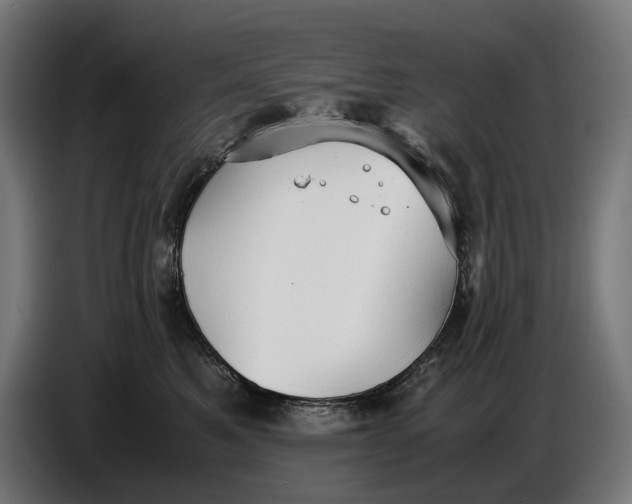 X0000086760521200705041450