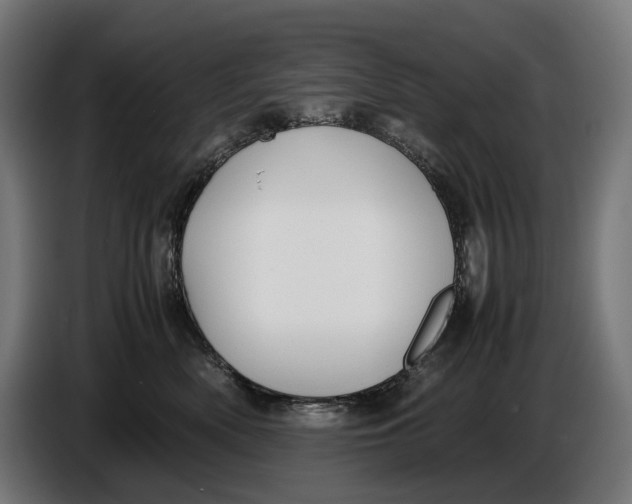 X0000086760522200705041450