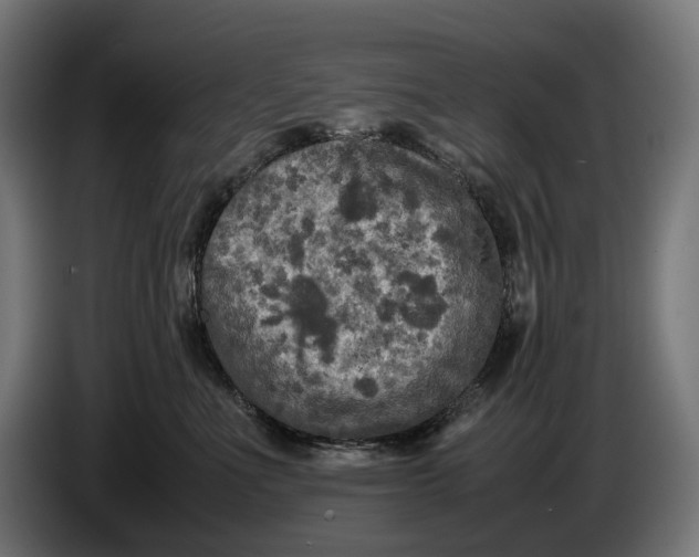 X0000086760523200705041450