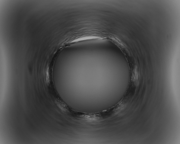 X0000086760524200705041450