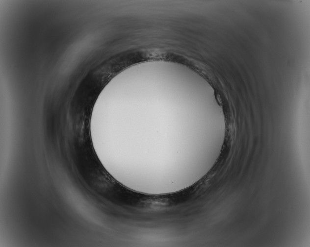 X0000086760525200705041450