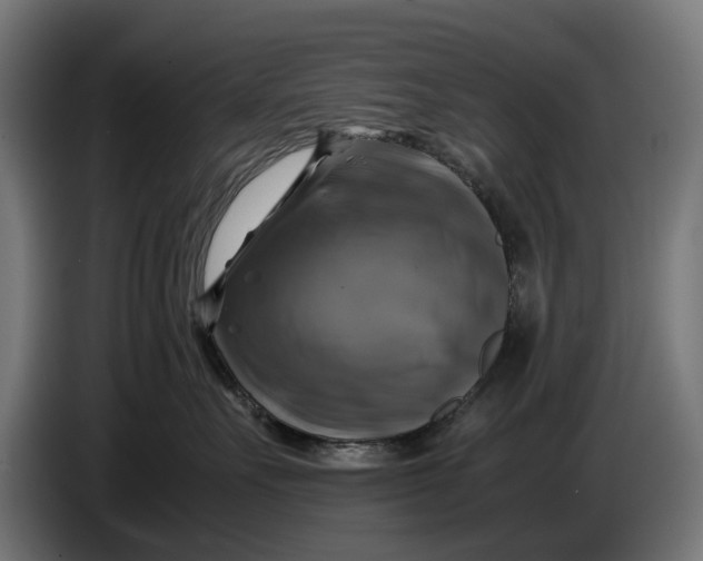 X0000086760527200705041450