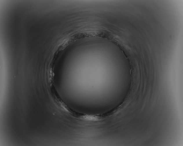 X0000086760528200705041450