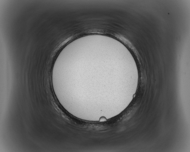 X0000086760529200705041450