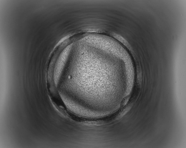 X0000086760530200705041450