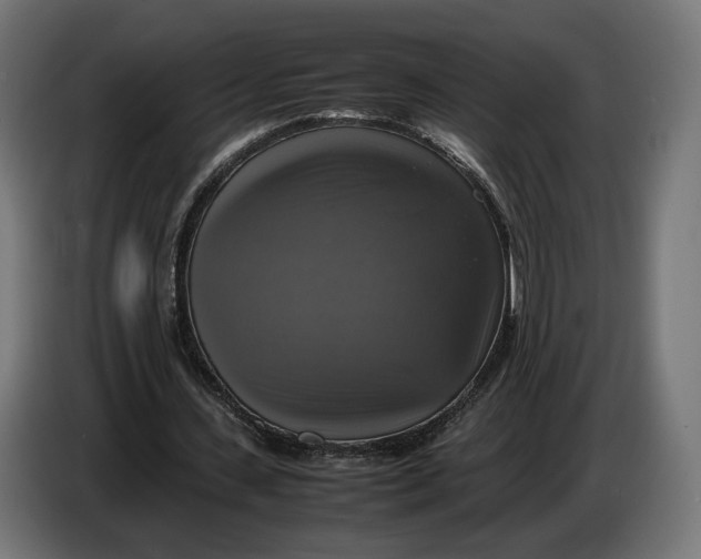 X0000086760531200705041450